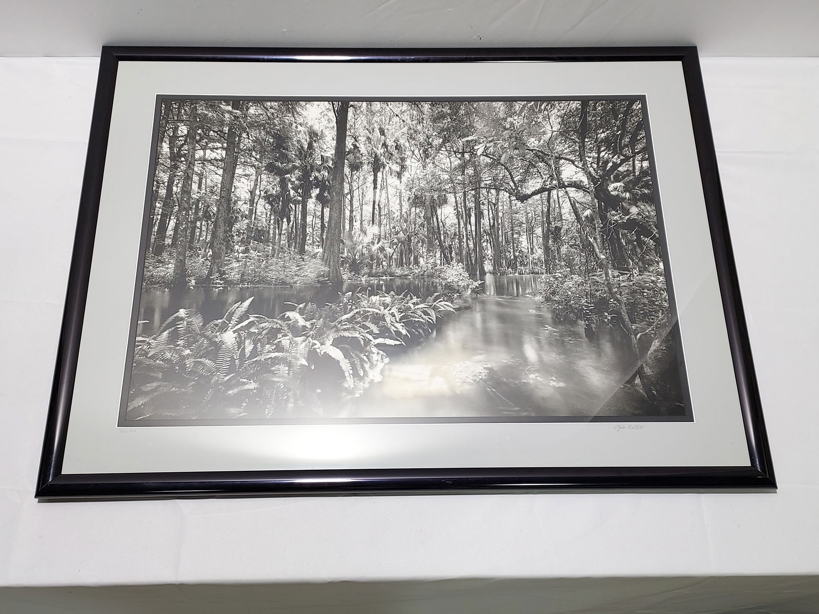 CLYDE BUTCHER "LOXAHATCHEE RIVER #2" PHOTOGRAPH (1 of 10)