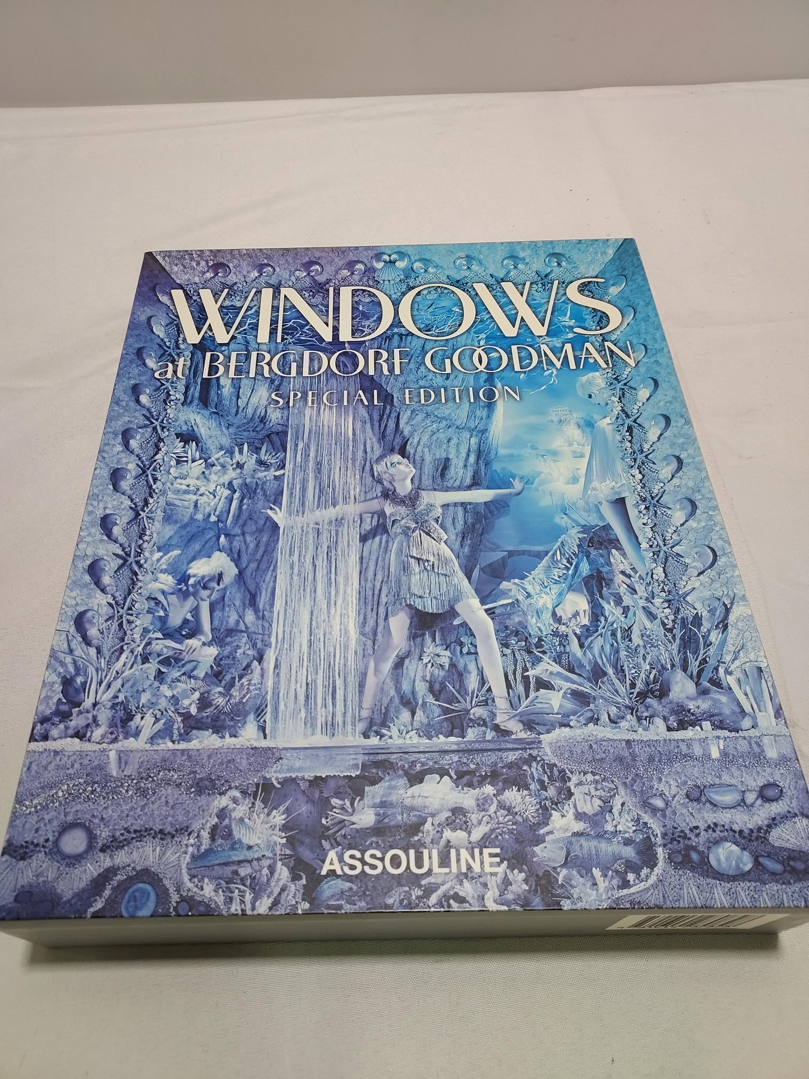 H1612 Windows at Bergdorf Special Edition:: Windows at Bergdorf Special Edition: 2012 Assouline Publishing, Limited edition, ISBN 978-1-61428-082-8. Special edition in orginal boxed jacket. Some shelf wear to box. Measurements rounded up 15" x 