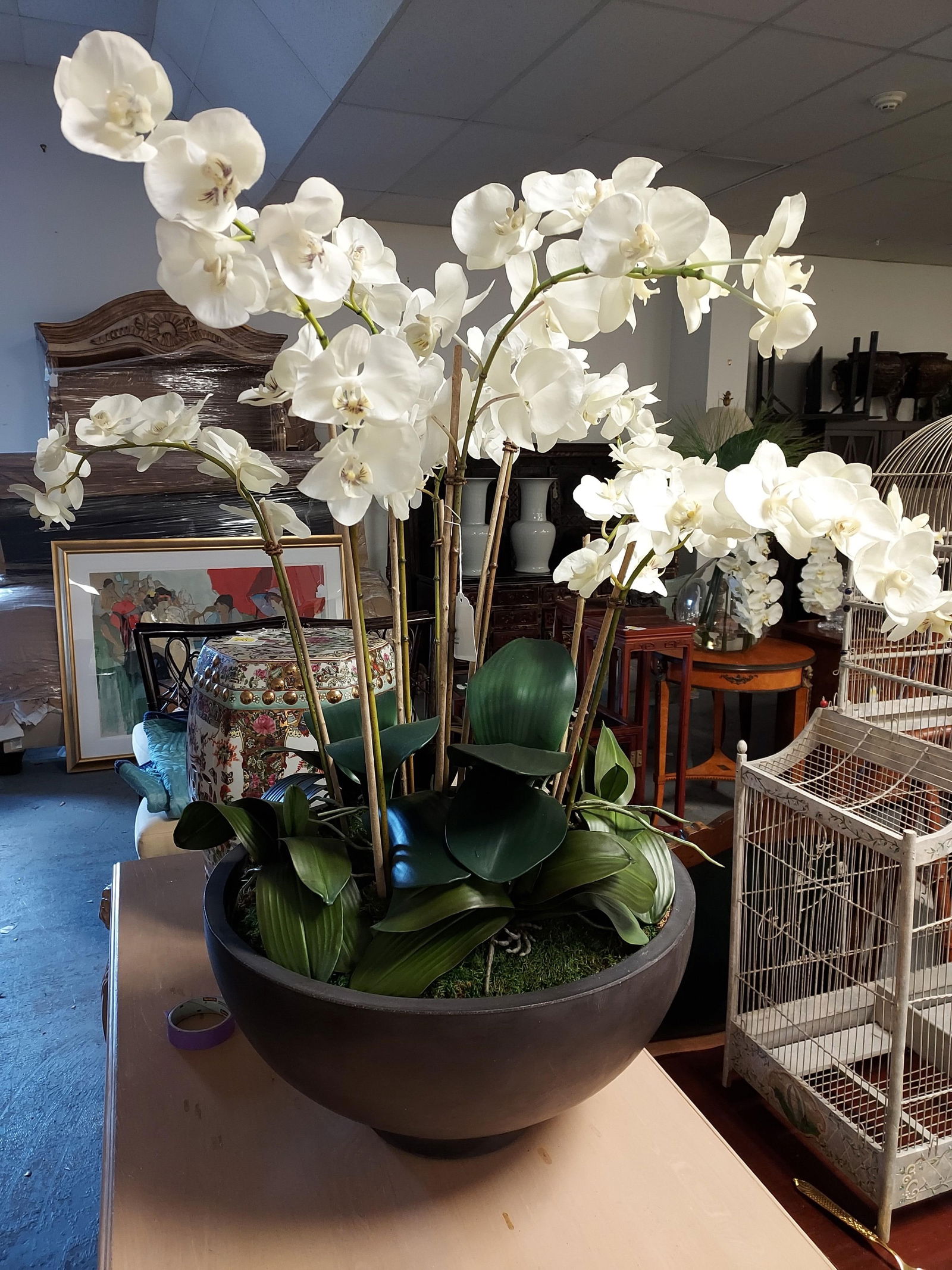 H100 Large silk phaleanopsis orchid: Silk phaleanopsis orchid plants in large black bowl. 38" x 21"