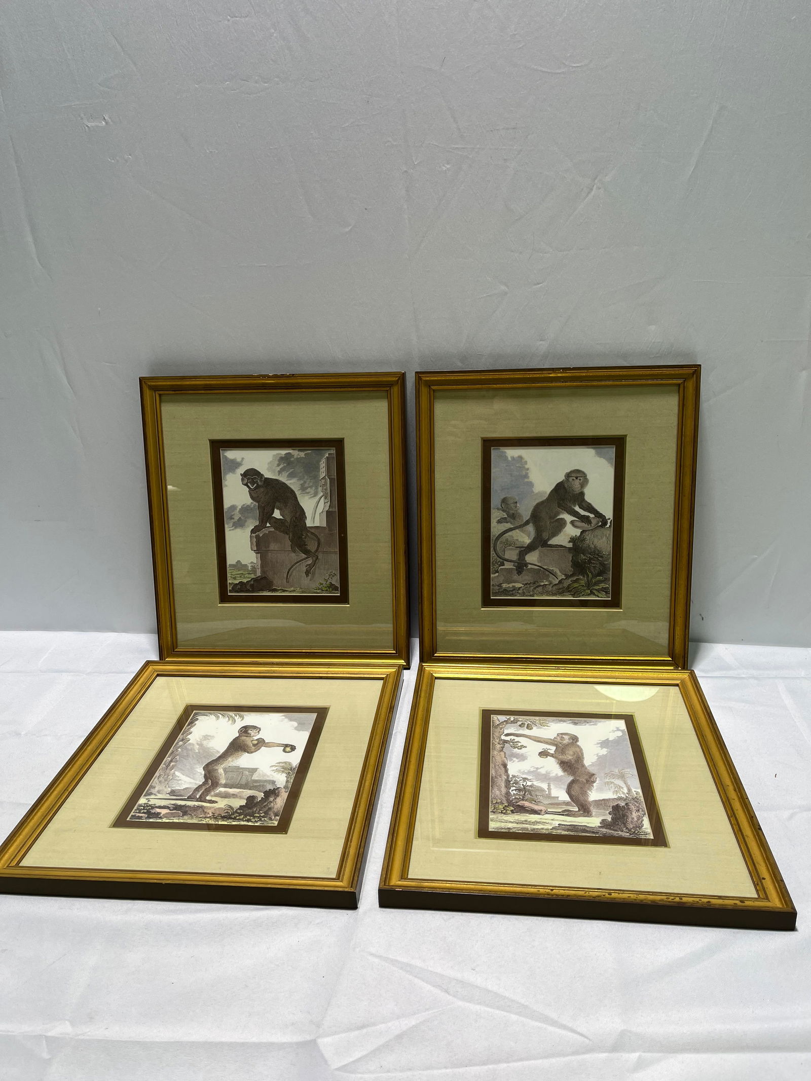 H1082 4 Monkey Lithographs (1 of 6)