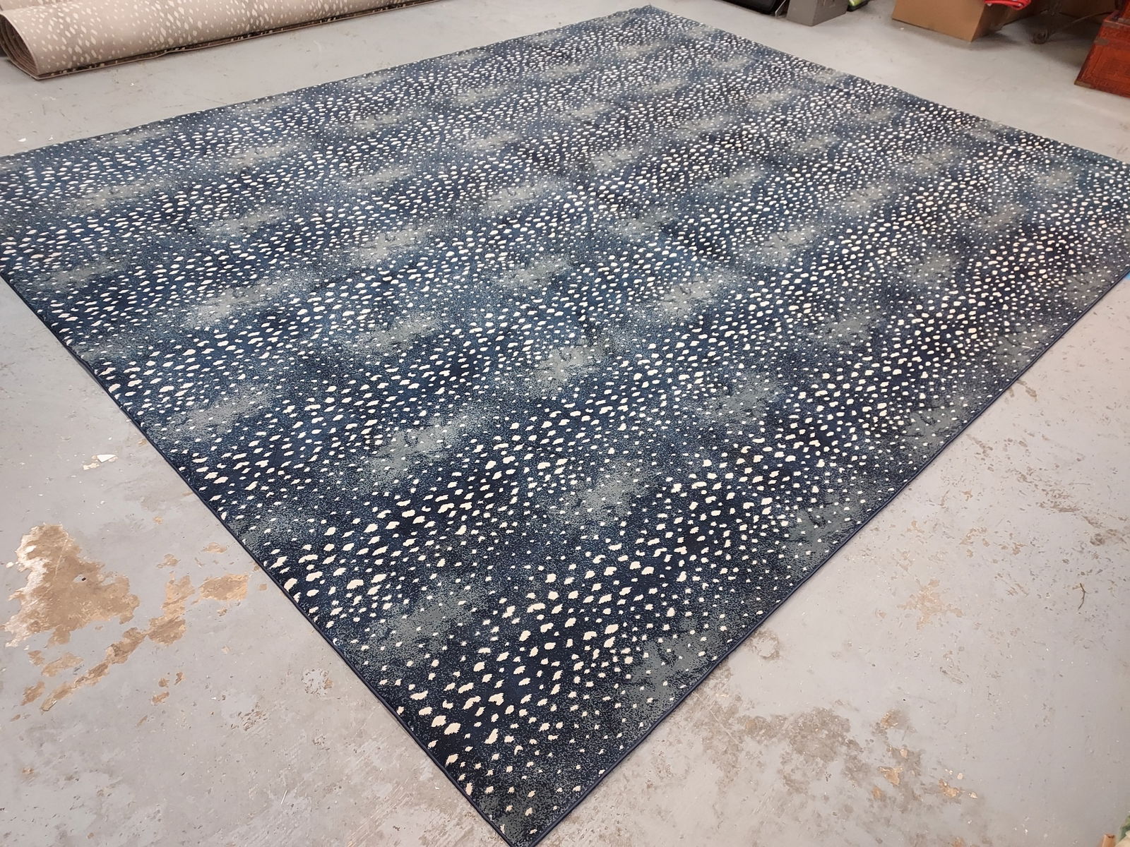 H180 Stark Studio carpet "Deerfield" pattern rug (1 of 12)