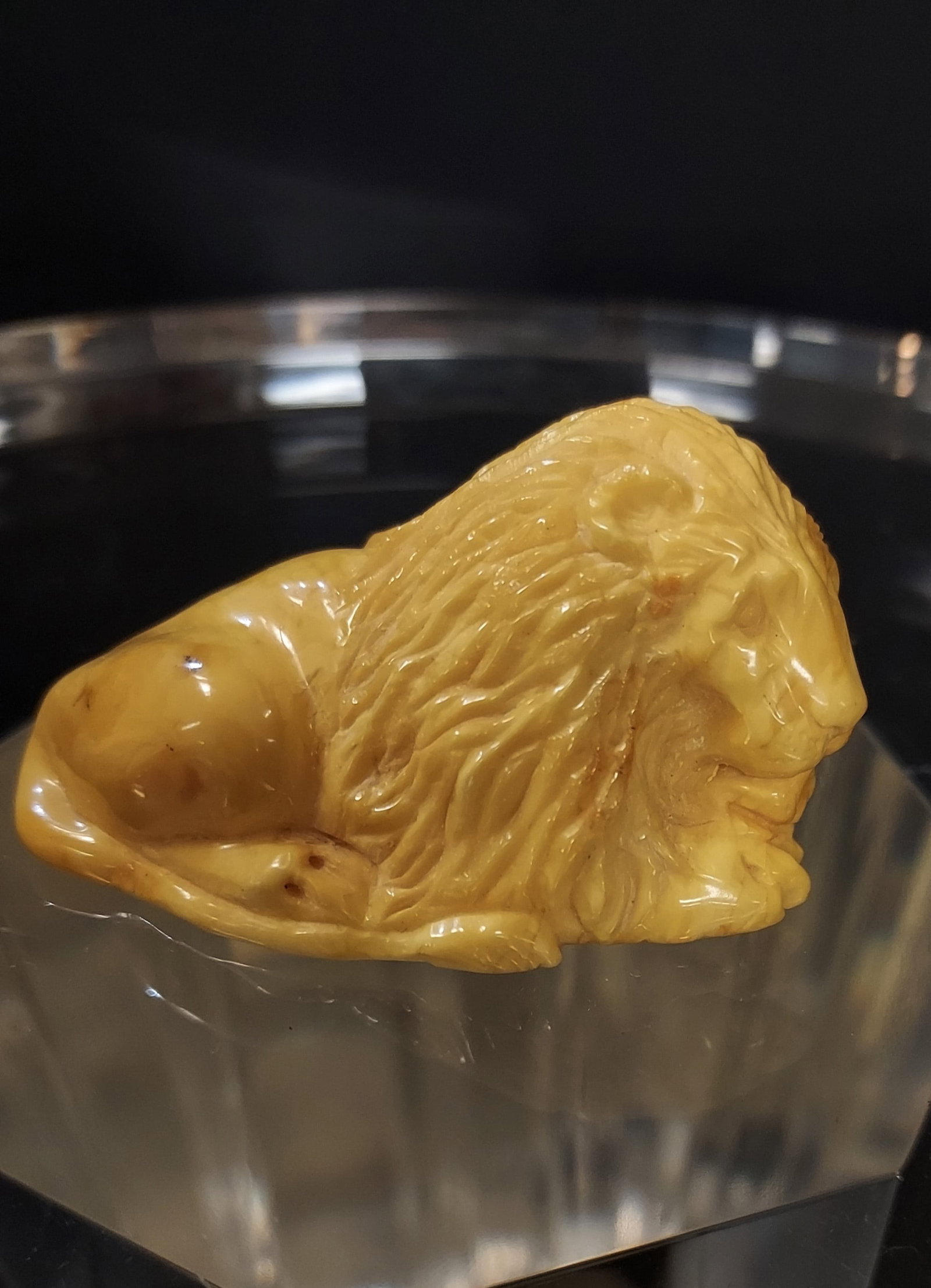 H002 Carved Baltic Amber Lion Egg Yolk & Royal: Carved Baltic Amber Lion Egg Yolk & Royal. Predominently a light egg yolk or light butterscotch color with touches of darker butterscotch on rear and evidence of Royal white on the underside. 1.25" x 