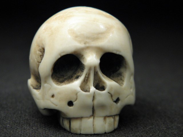 JAPANESE CARVED NETSUKE: SKULL: Japanese carved ivory or bone netsuke in the form of a skull. Artist signed on base near loop holes. Condition: very minor discoloration as expected with age, small age crack to reverse, see images. M