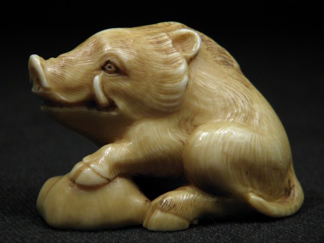JAPANESE CARVED IVORY NETSUKE: WILD BOAR: Japanese carved ivory netsuke depicting a wild boar with his foot on a rock. Very good patina to finish, with artist's signature on base near loop holes. Condition: minor discoloration as expected wit