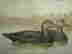 item-15706158=4