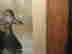 item-15706158=7