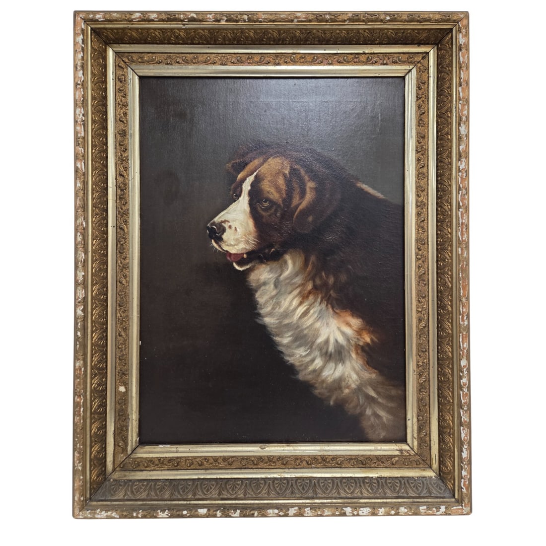 19th C PORTRAIT OF A  ST. BERNARD DOG (1 of 12)