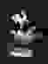 item-214539=2