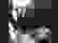 item-214539=5