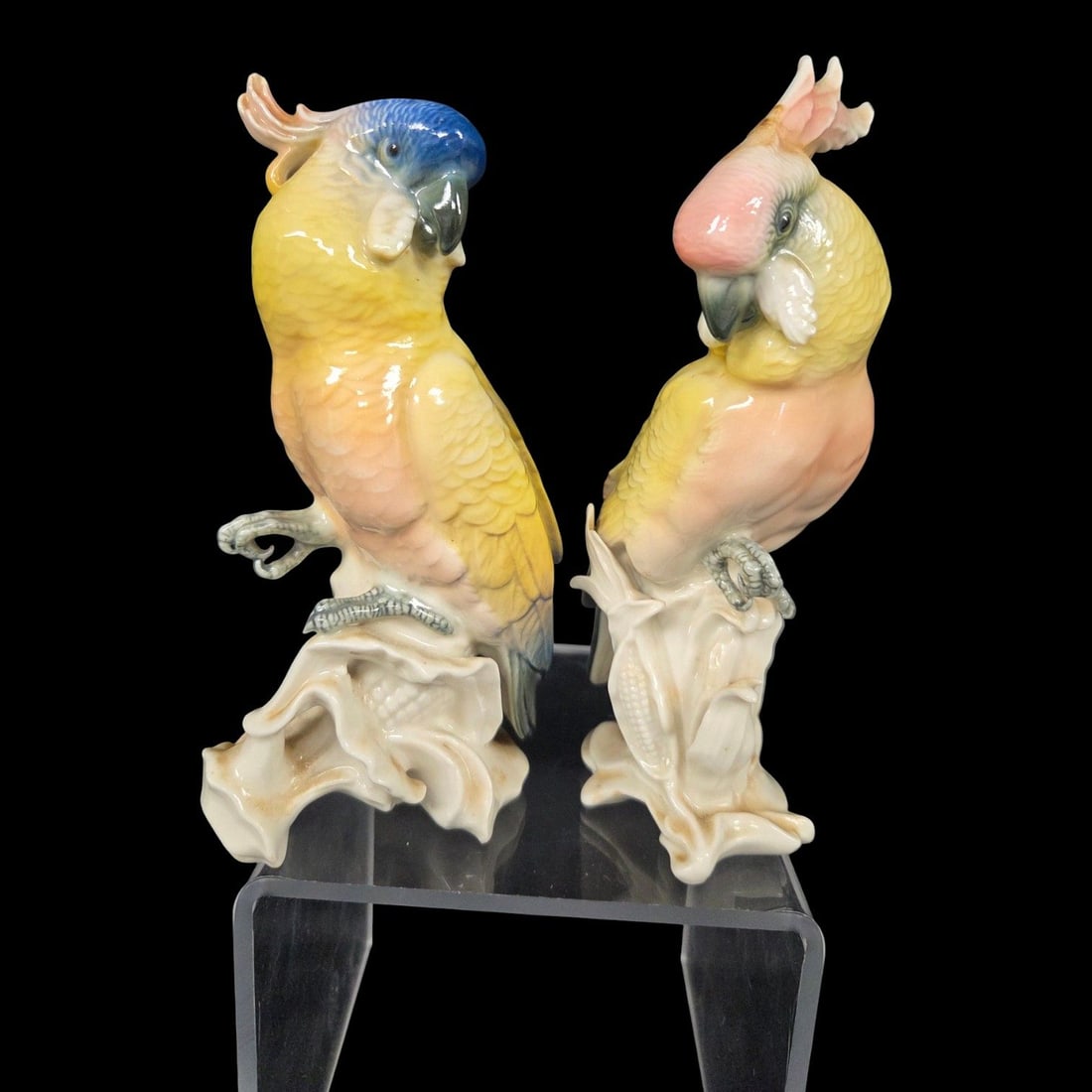 PAIR OF KARL ENS COCKATOO PORCELAIN SCULPTURES (1 of 11)