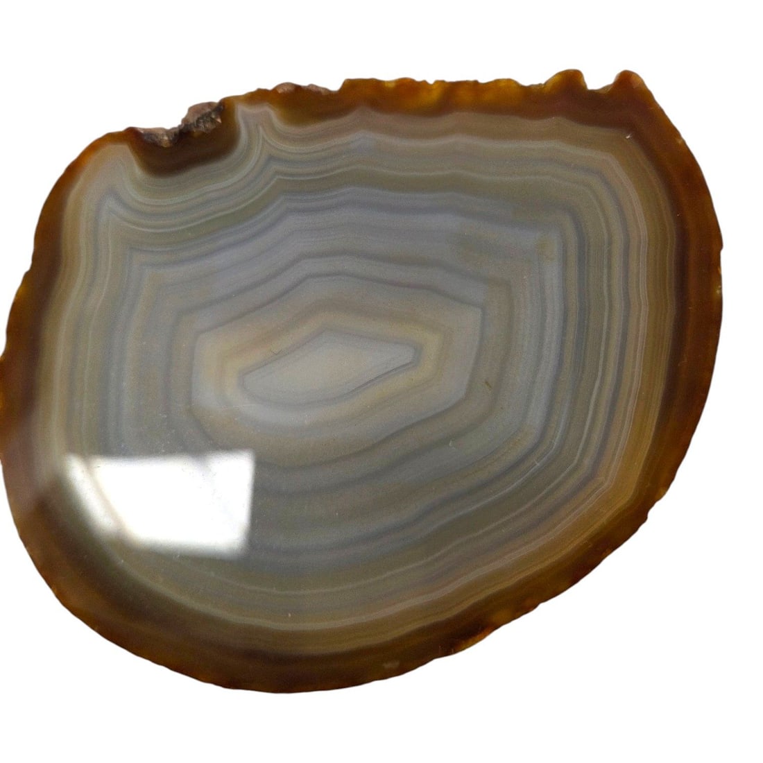 12 PIECE AGATE SLICE COLLECTION - 10
