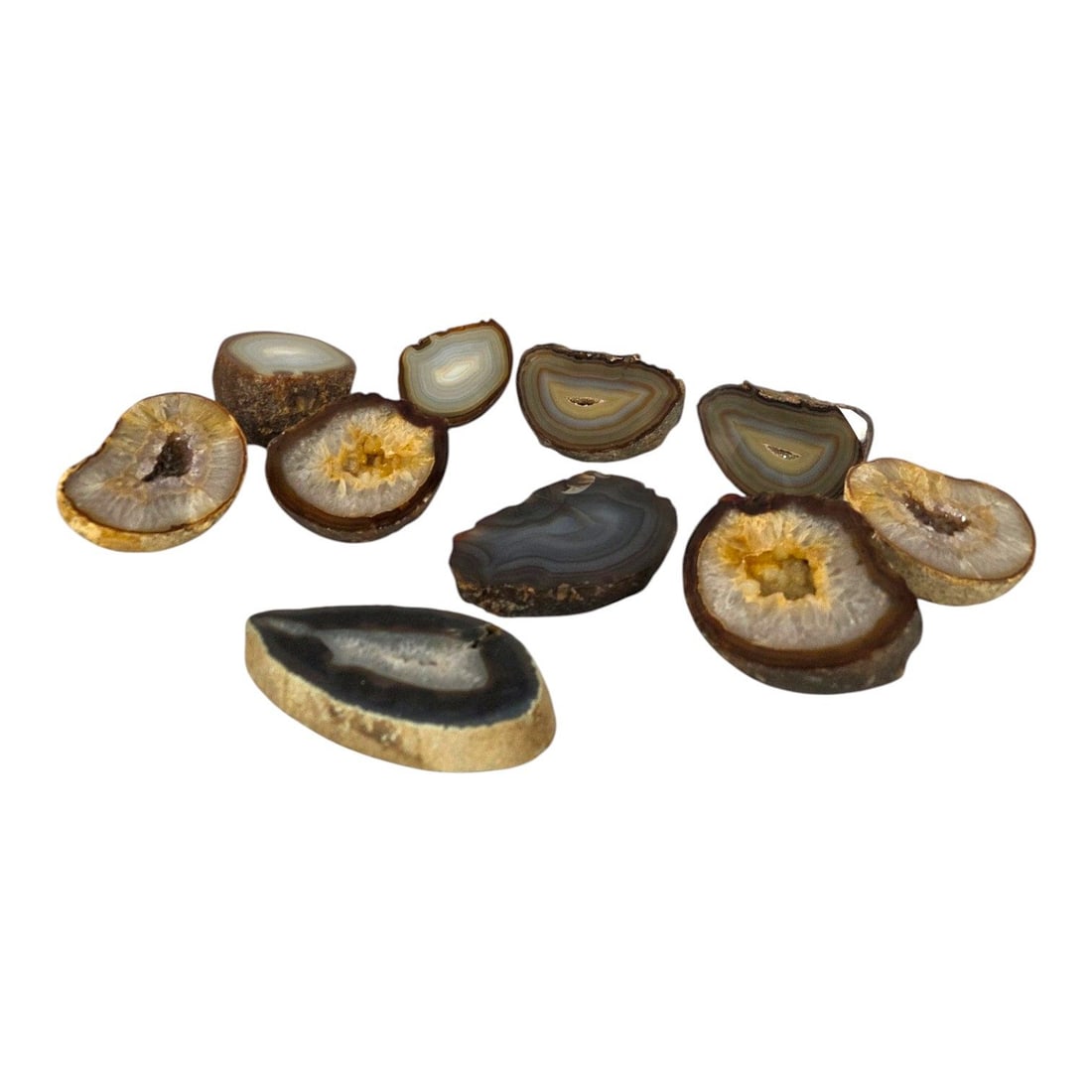 12 PIECE AGATE SLICE COLLECTION: Lot consisting of 12 agate slices featuring polished geological specimens. These agates are popularly used as decorative displays, paperweights, or jewelry making slabs. Each one weighs just under 2 l