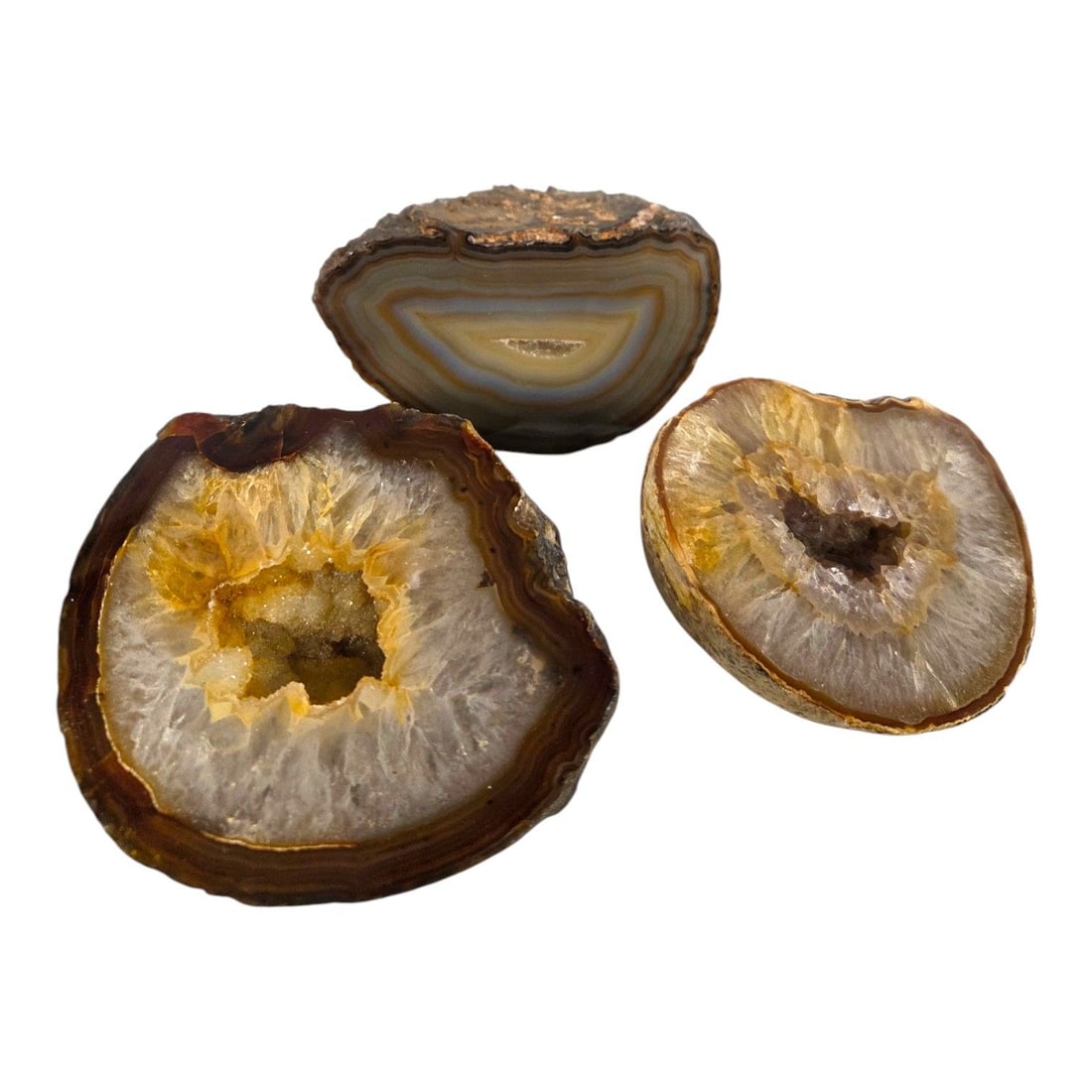 12 PIECE AGATE SLICE COLLECTION - 2