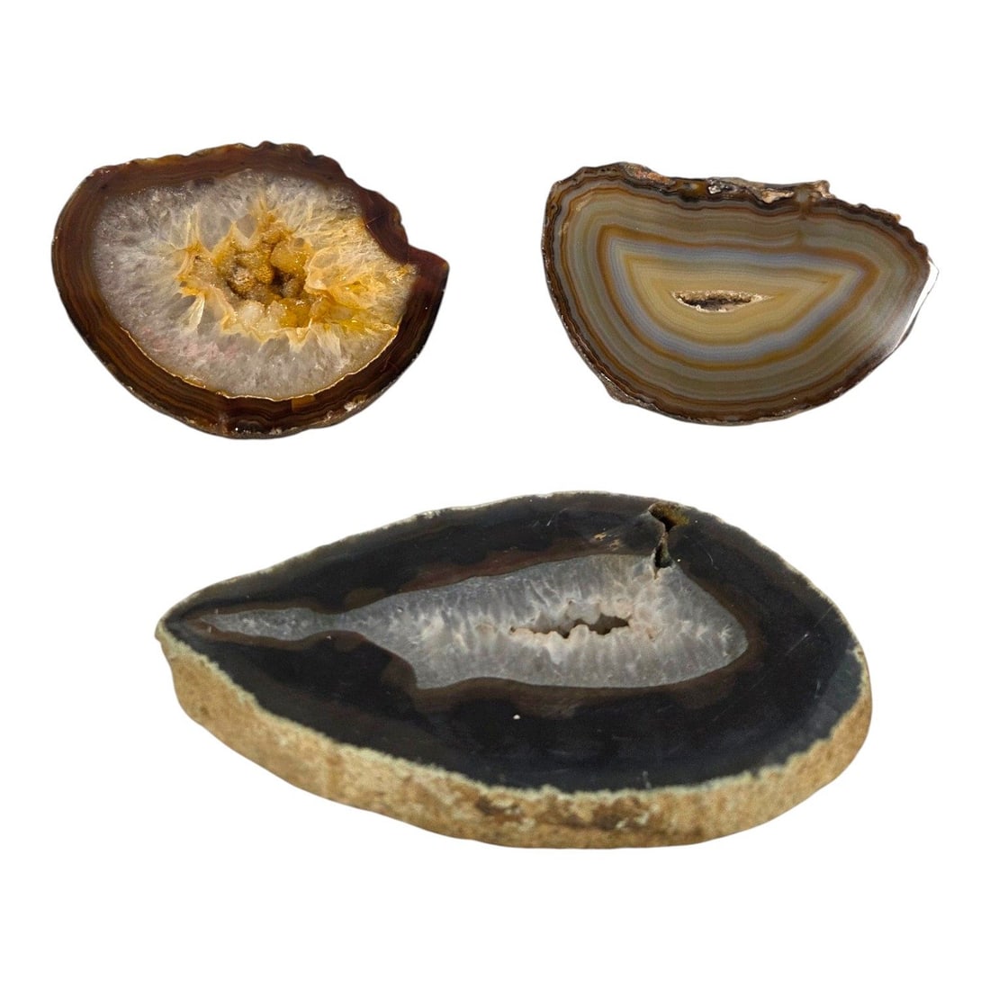 12 PIECE AGATE SLICE COLLECTION - 4
