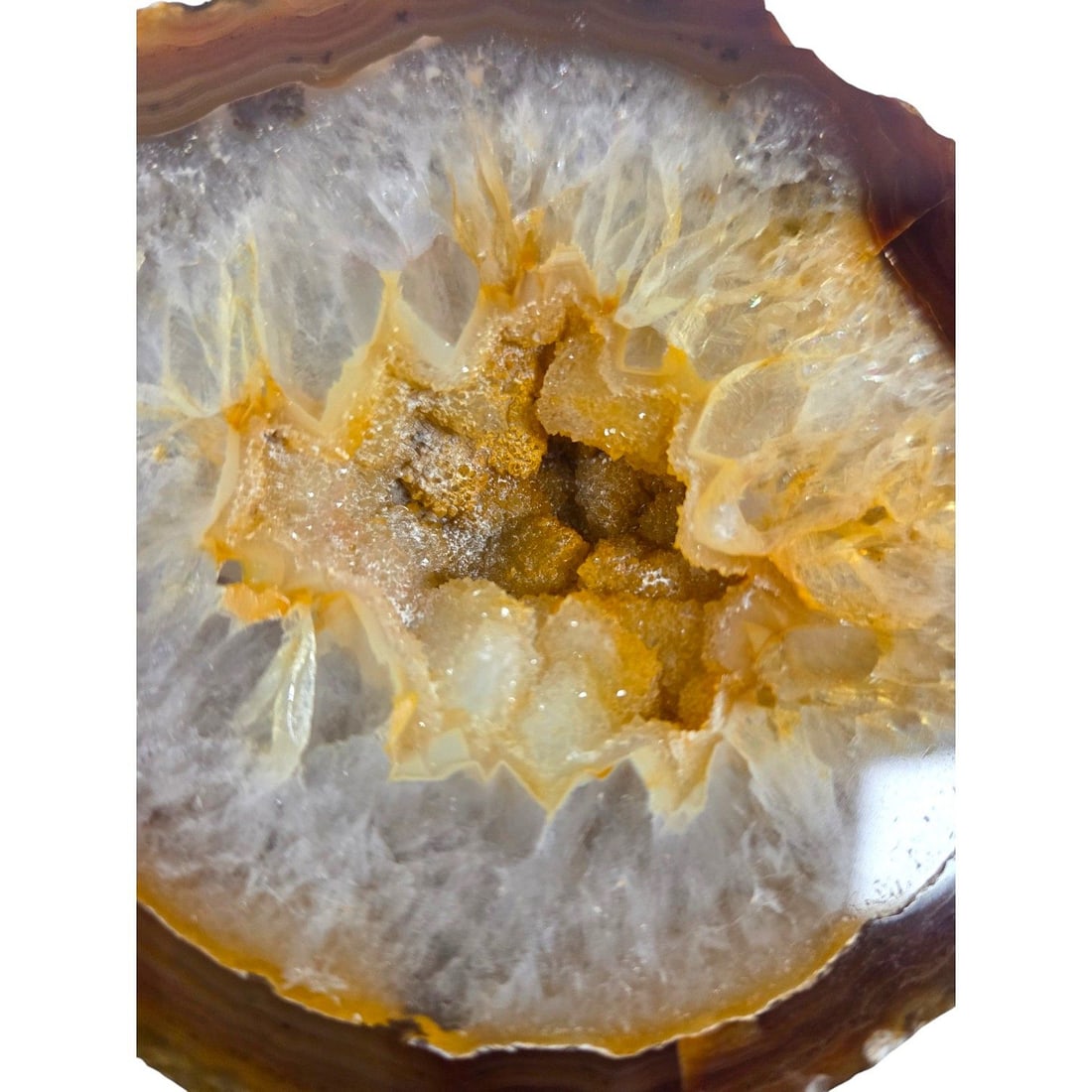 12 PIECE AGATE SLICE COLLECTION - 6