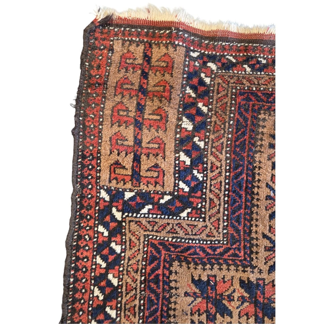 A BALUCH PRAYER RUG - 3