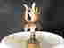 item-21640291=2