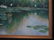 RUTH MUELLER TAYLOR OIL ON CANVAS PAINTING: POND - 2