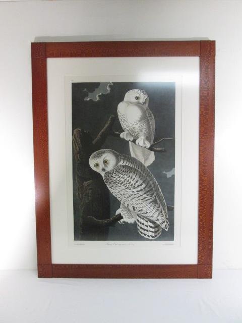 FRAMED PRINT AFTER JOHN AUDUBON: "SNOWY OWL": Framed print after John Audubon titled "Snowy Owl". Print from the "Audubon's 50 Best Oppenheimer Field Museum Edition" series. From the Oppenheimer Museum: "Each print is on Somerset velvet, an acid-