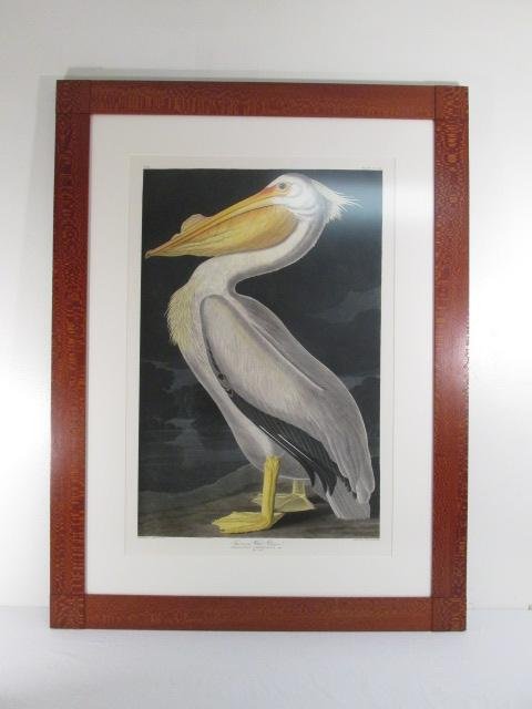 FRAMED PRINT AFTER JOHN AUDUBON: "AMERICAN WHITE: Framed print after John Audubon titled "American White Pelican". Print from the "Audubon's 50 Best Oppenheimer Field Museum Edition" series. From the Oppenheimer Museum: "Each print is on Somerset vel