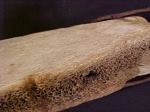 ANTIQUE WHALE BONE BOAT RUDDER 1872 - 2