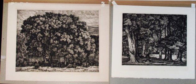 TWO LUIGI LUCIONI ORIGINAL SIGNED ETCHINGS (1 of 8)