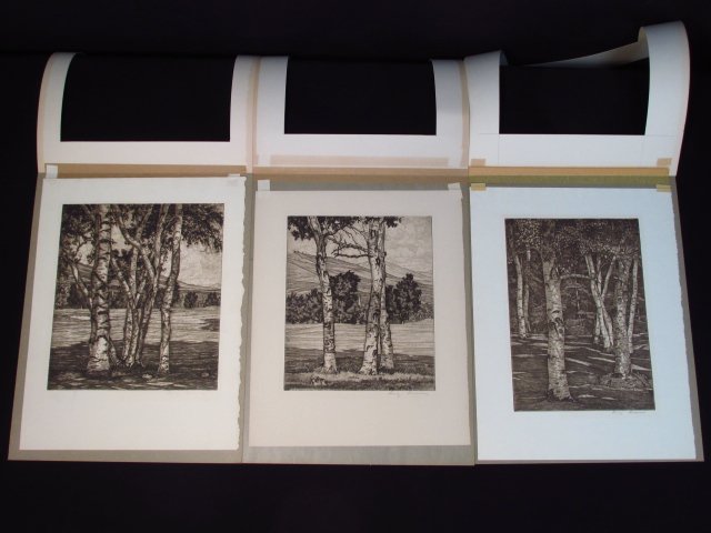 THREE LUIGI LUCIONI ORIGINAL SIGNED ETCHINGS (1 of 10)