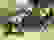 item-44417965=5
