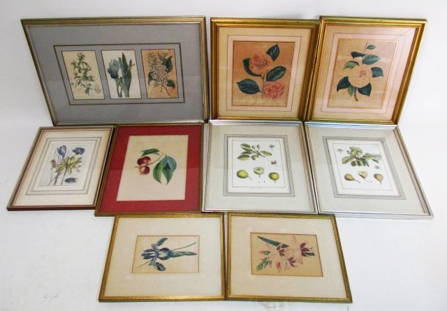 NINE ASSORTED HAND COLORED BOTANICAL PRINTS (1 of 9)