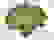 item-50192282=6