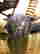 item-50192299=3