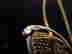 item-50192452=3