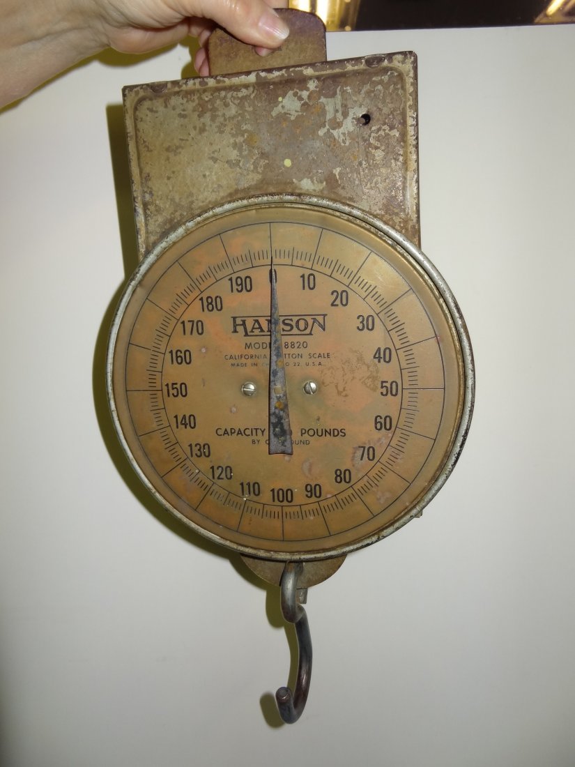HANSON MODEL 8820 CALIFORNIA COTTON SCALE. CAPACITY 200: HANSON MODEL 8820 CALIFORNIA COTTON SCALE. CAPACITY 200 POUNDS BY ONE POUND. SCALE ONLY, AS SEEN IN PHOTOS, SCALE ONLY. METAL BOX IS 6'' WIDE, ROUND SCALE IS 8'' WIDE, ENTIRE LENGTH IS 16.5'' LONG