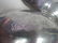 ALUMINUM LOBSTER TRAY SIGNED - 4