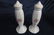 NAUTILUS EGGSHELL DISHWARE - 2