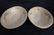 NAUTILUS EGGSHELL DISHWARE - 5
