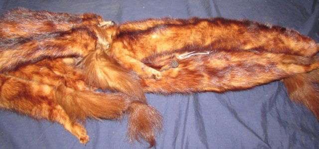 MINK STOLE: FIVE MINKS, GREAT CONDITION. 60 INCHES LONG