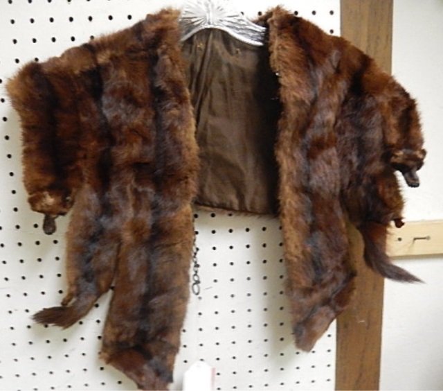 MINK COLLAR OR CAPE: VERY GOOD CONDITION
