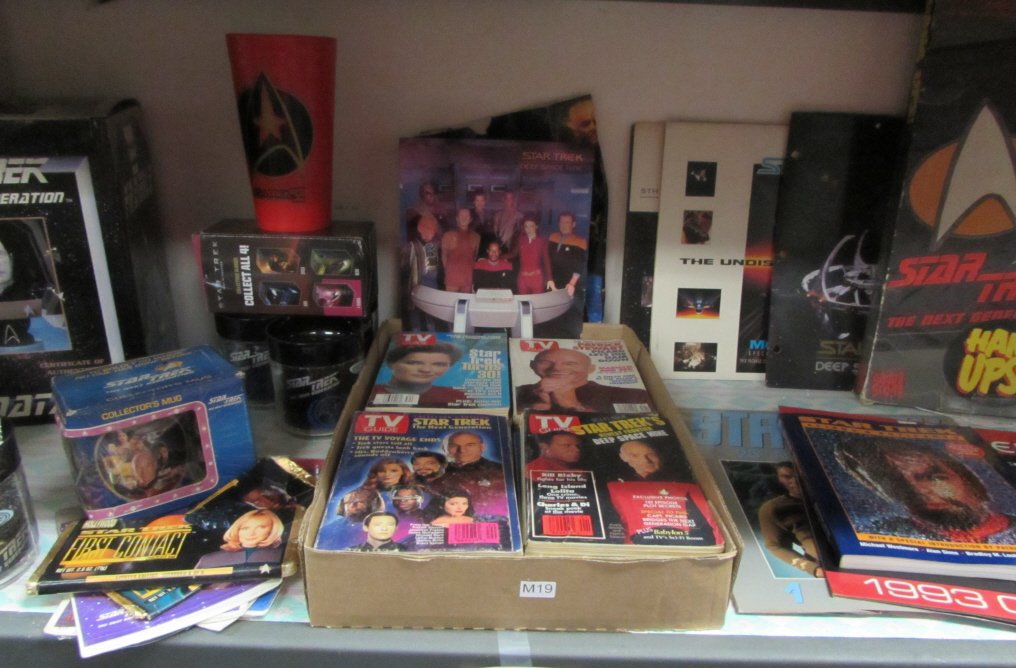 LARGE LOT VINTAGE STAR TREK ITEMS: LARGE LOT VINTAGE STAR TREK ITEMS TV GUIDES,CUPS,MUGS,,DATA HAND PAINTED COLD CAST PORCELAIN W/ COA, BOOKS, CALADARS,
