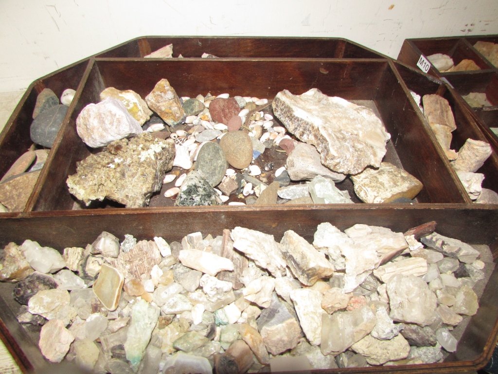 NATURAL STONES, CRYSTALS AND OTHER: NATURAL STONES, CRYSTALS AND OTHER PETRIFIED WOOD, ROCKS, SHELLS, STONES IN A NICE WOOD DIVIDED TRAY