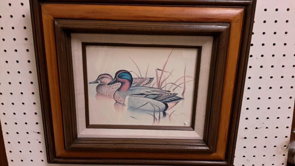 Framed Duck Print: Gregory F. Messiek artist, measures 18" by 16"