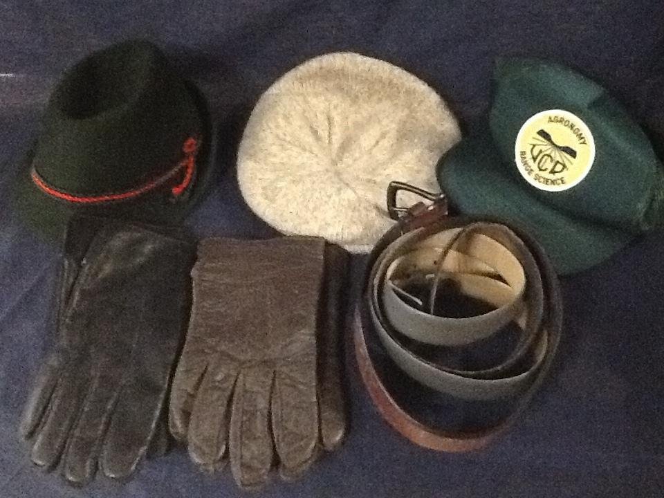 Men's Caps, Hats, Belts and Gloves: Grey and brown leather belts, black and brown leather gloves, 2 hats, and 2 caps