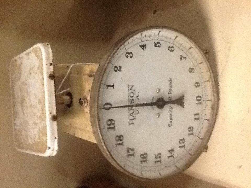 Vintage Hanson Weight Scale: 20 lbs. capacity, metal, 10" tall