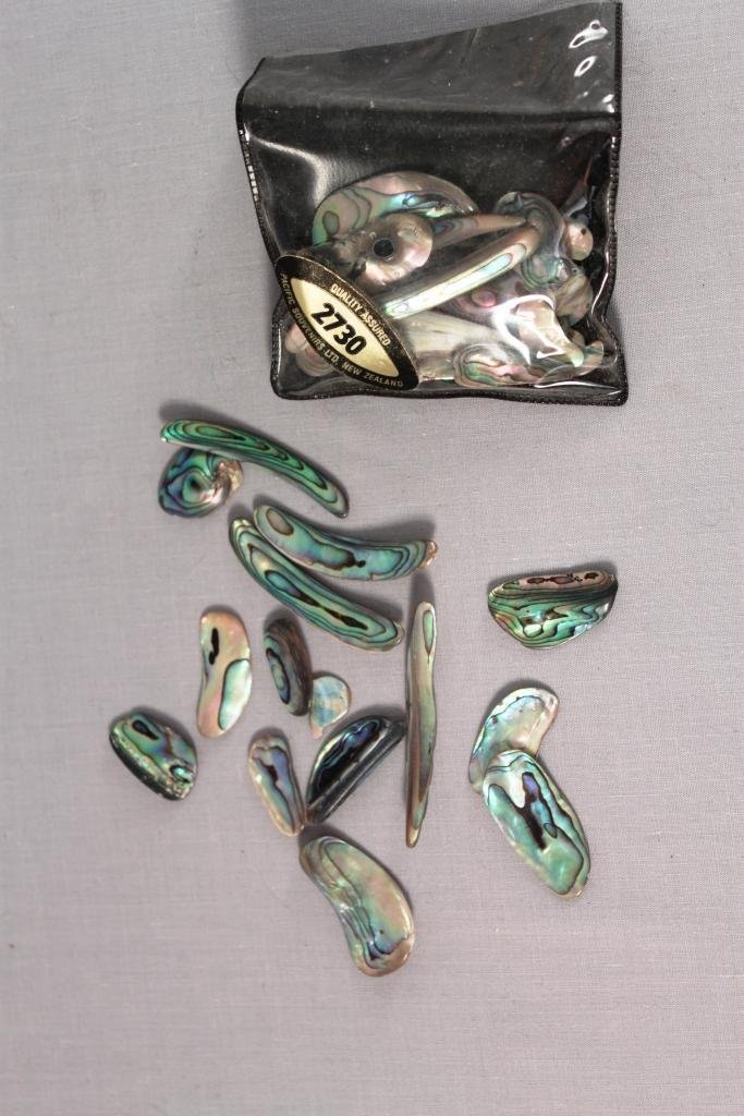 Abalone Jewelry Pieces: Nice assortment of polished abalone pieces ready for custom jewelry design