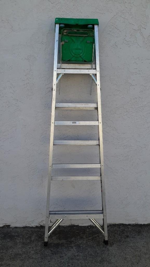 Werner Ladder: Aluminum 6 foot ladder.