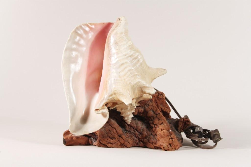 Conch Shell and Driftwood Lamp: Lamp is made from a real shell. Measures 10" tall.