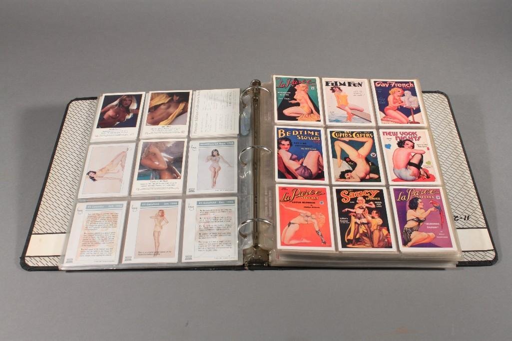 Hustler,Playboy,Verga and Exotic Collectors Cards (1 of 7)