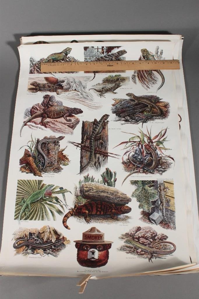 Forest and Wildlife Posters (1 of 8)