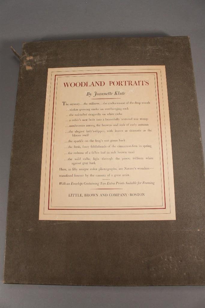 Woodland Portraits By Jeannette Klute (1 of 8)