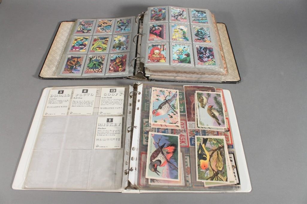 Comic, Movie, and Military Collector's Cards: DC Comic collectors cards, Pro Set Desert Storm collectors cards, Topps Desert Storm collectors cards, America's Major Players Desert Storm collectors cards, animal cards, Walt Disney, License Plate S